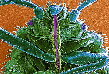 《联盟经理2023》Steam页面上线 支持简中